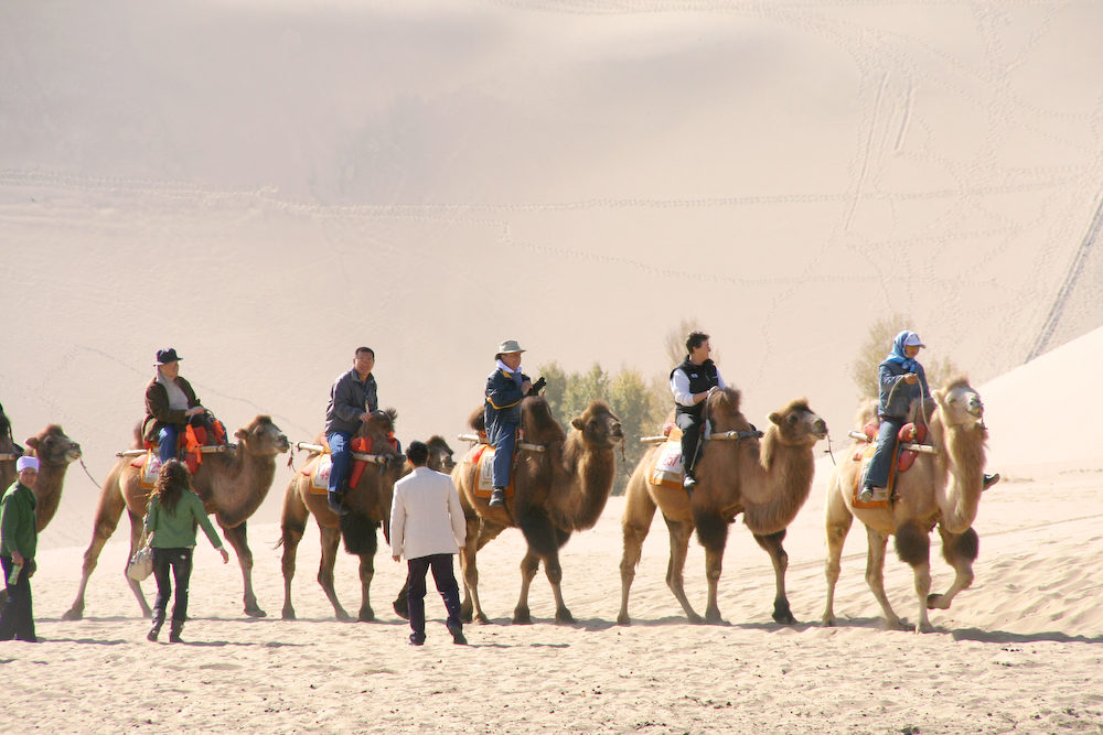 The Enigmatic Silk Road