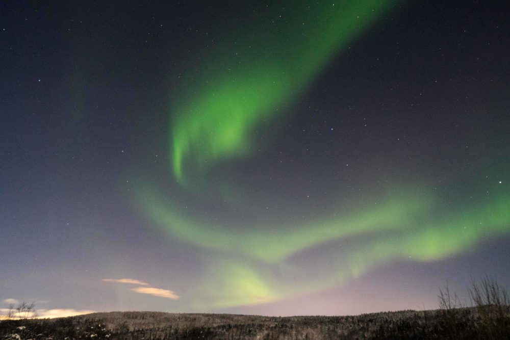 Great Expectations: in search of the Aurora Borealis